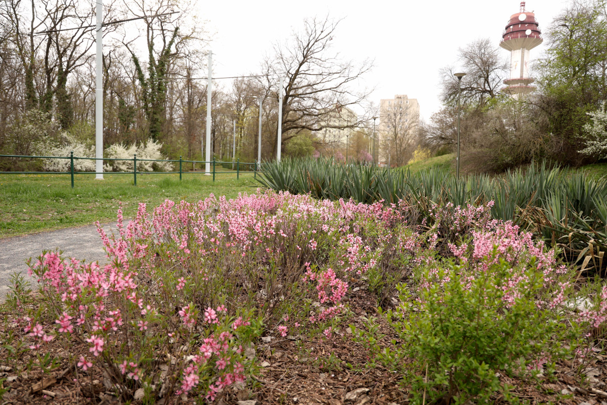 Szeged, Vér-tó, tavasz, időjárás
