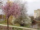 Szeged, Vér-tó, tavasz, időjárás