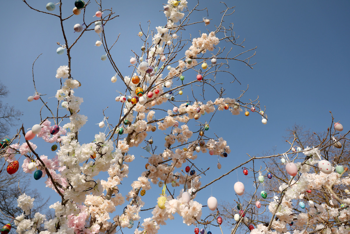 Sándorfalva, tojásfa, húsvét, tojás, Szabadság tér