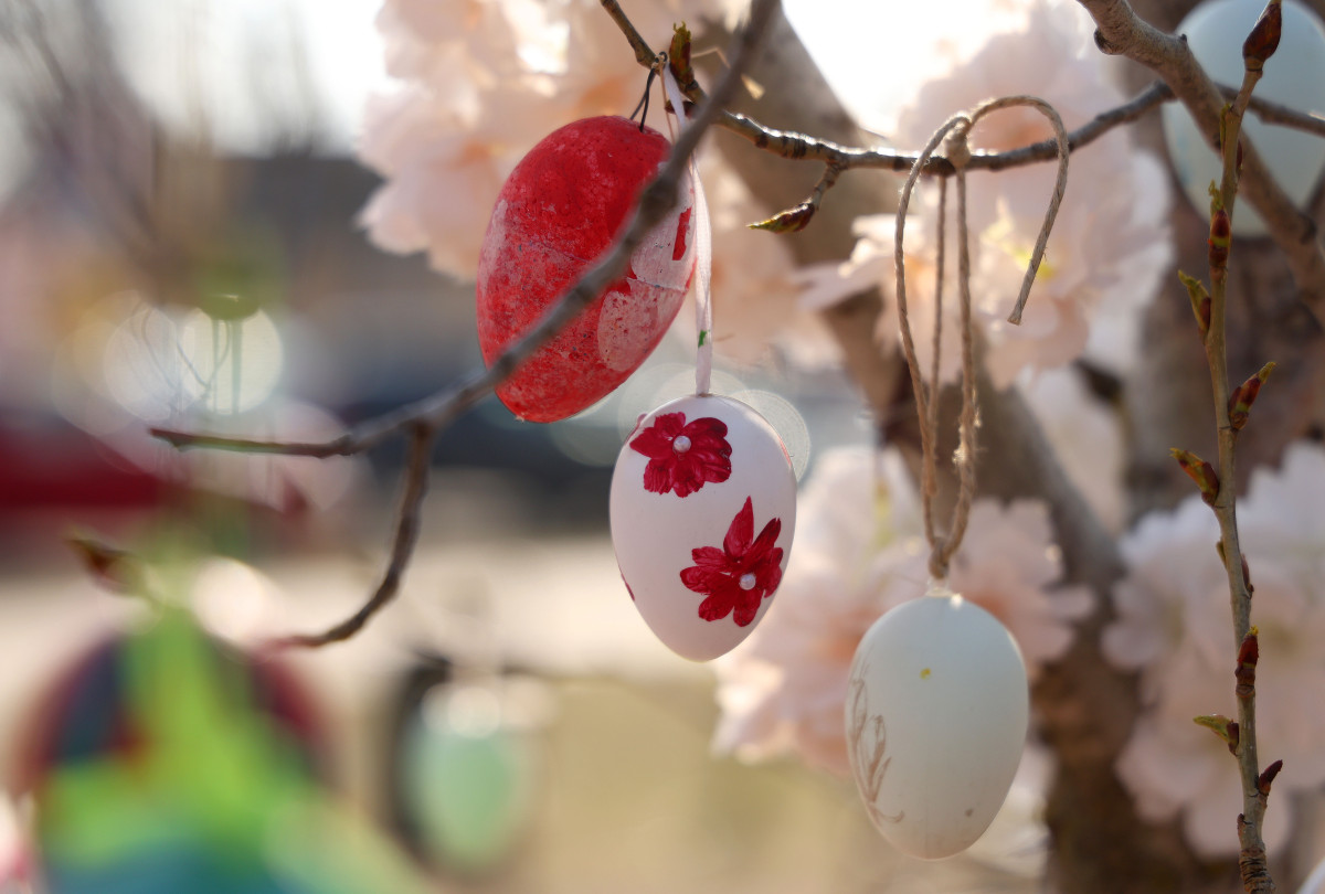 Sándorfalva, tojásfa, húsvét, tojás, Szabadság tér