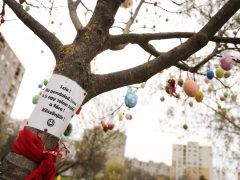 Szeged, tojásfa, húsvét, tojás, Vér-tó