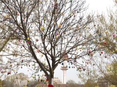 Szeged, tojásfa, húsvét, tojás, Vér-tó