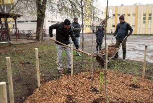 Szeged, Provident, ReGreenX, önkormányzat, faültetés, Bonifert Domonkos Általános Iskola, iskola udvar, Nagy Sándor