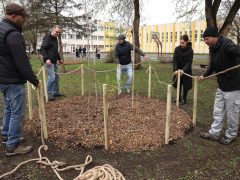 Szeged, Provident, ReGreenX, önkormányzat, faültetés, Bonifert Domonkos Általános Iskola, iskola udvar, Nagy Sándor