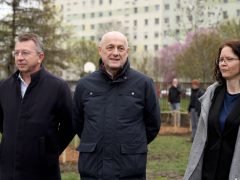 Szeged, Provident, ReGreenX, önkormányzat, faültetés, Bonifert Domonkos Általános Iskola, iskola udvar, Nagy Sándor