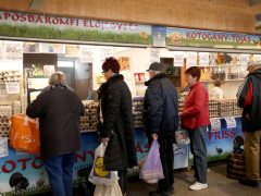 Szeged, sonka, tojás, zöldség, gyümölcs, kalács, virág, húsvét, Mars téri piac, piac