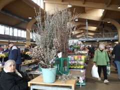 Szeged, sonka, tojás, zöldség, gyümölcs, kalács, virág, húsvét, Mars téri piac, piac