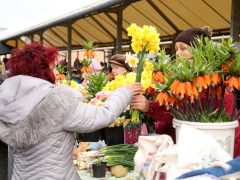 Szeged, sonka, tojás, zöldség, gyümölcs, kalács, virág, húsvét, Mars téri piac, piac