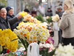 Szeged, sonka, tojás, zöldség, gyümölcs, kalács, virág, húsvét, Mars téri piac, piac