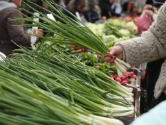 Szeged, sonka, tojás, zöldség, gyümölcs, kalács, virág, húsvét, Mars téri piac, piac