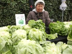 Szeged, sonka, tojás, zöldség, gyümölcs, kalács, virág, húsvét, Mars téri piac, piac