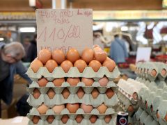 Szeged, sonka, tojás, zöldség, gyümölcs, kalács, virág, húsvét, Mars téri piac, piac