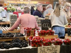 Szeged, sonka, tojás, zöldség, gyümölcs, kalács, virág, húsvét, Mars téri piac, piac