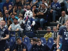 Szeged, OTP Bank Pick Szeged, Kielce, kézilabda, BL, mérkőzés, Pick Aréna, sport