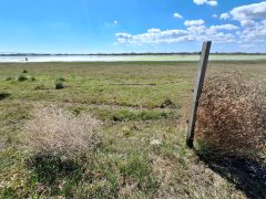 Mórahalom, Nagyszéksós-tó Bivalyrezervátum, megújult, turisztika, látványosság. látogatóközpont, kilátó, tanösvény, turizmus, bivaly, természet