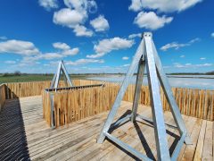 Mórahalom, Nagyszéksós-tó Bivalyrezervátum, megújult, turisztika, látványosság. látogatóközpont, kilátó, tanösvény, turizmus, bivaly, természet