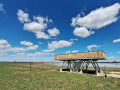 Mórahalom, Nagyszéksós-tó Bivalyrezervátum, megújult, turisztika, látványosság. látogatóközpont, kilátó, tanösvény, turizmus, bivaly, természet