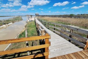 Mórahalom, Nagyszéksós-tó Bivalyrezervátum, megújult, turisztika, látványosság. látogatóközpont, kilátó, tanösvény, turizmus, bivaly, természet