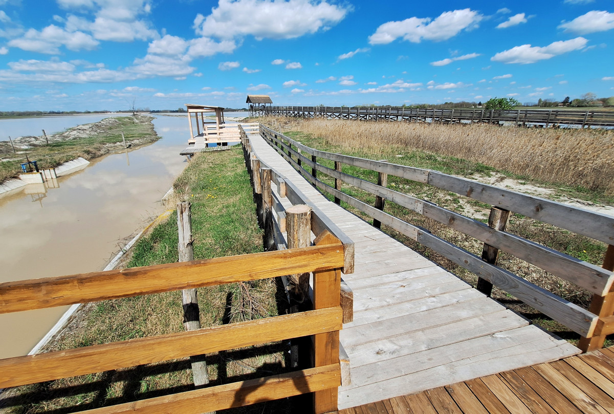Mórahalom, Nagyszéksós-tó Bivalyrezervátum, megújult, turisztika, látványosság. látogatóközpont, kilátó, tanösvény, turizmus, bivaly, természet