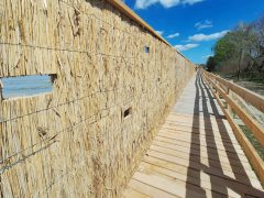 Mórahalom, Nagyszéksós-tó Bivalyrezervátum, megújult, turisztika, látványosság. látogatóközpont, kilátó, tanösvény, turizmus, bivaly, természet