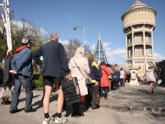 Szeged, tavaszi virágosztás, virágosztás, egynyári virágok, Szent István tér, Tóth Károly