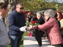 Szeged, tavaszi virágosztás, virágosztás, egynyári virágok, Tarján, Víztorony tér, Szabó Sándor, Mészáros Tamás