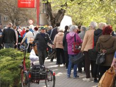 Szeged, tavaszi virágosztás, virágosztás, egynyári virágok, Tarján, Víztorony tér, Szabó Sándor, Mészáros Tamás