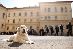 Szeged, Országgyűlési választás, választás, 2026. április 12., átszavazók, szavazás, szavazók, Radnóti Miklós Gimnázium
