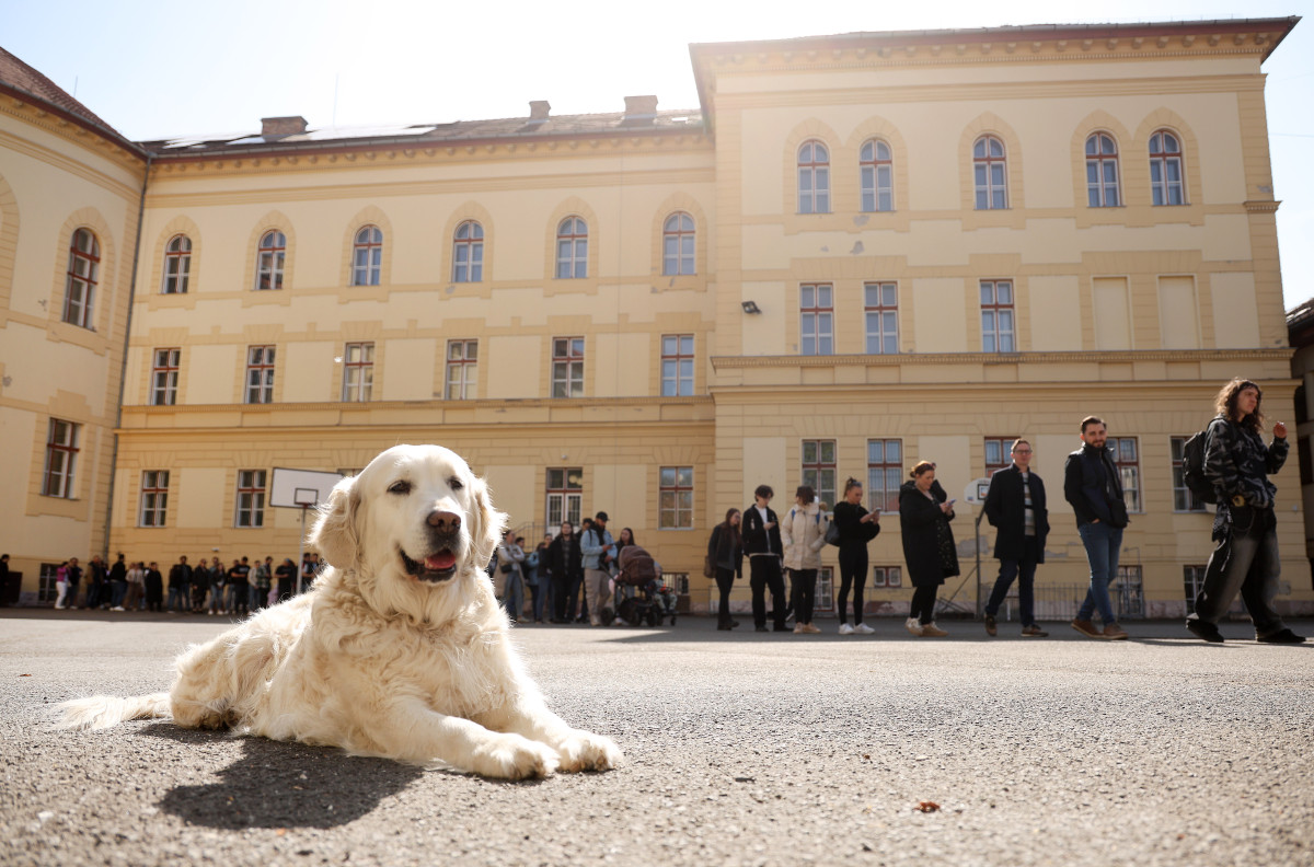 Szeged, Országgyűlési választás, választás, 2026. április 12., átszavazók, szavazás, szavazók, Radnóti Miklós Gimnázium
