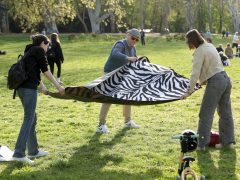 Szeged, Gather2gether, eredményváró, piknik, újszeged, liget, választás, 2026. április 12.