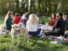 Szeged, Gather2gether, eredményváró, piknik, újszeged, liget, választás, 2026. április 12.