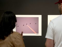 Szeged, sajtófotó, fotó, kiállítás, Szeged Press 2026., Szeged, Press, Móra Ferenc múzeum