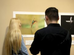 Szeged, sajtófotó, fotó, kiállítás, Szeged Press 2026., Szeged, Press, Móra Ferenc múzeum