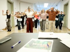 Szeged, Szegedi Szabadtéri Játékok, Wicked, musicel, statiszta, casting, Reök palota, kultura