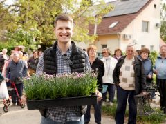 Szeged, tavaszi virágosztás, egynyári, virág, virágosztás, újszeged, Mihálik Edvin