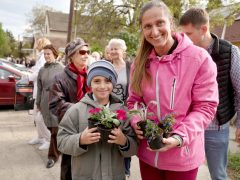 Szeged, tavaszi virágosztás, egynyári, virág, virágosztás, újszeged, Mihálik Edvin