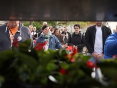 Szeged, tavaszi virágosztás, egynyári, virág, virágosztás, újszeged, Mihálik Edvin