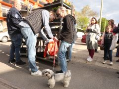 Szeged, tavaszi virágosztás, egynyári, virág, virágosztás, újszeged, Mihálik Edvin