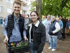 Szeged, tavaszi virágosztás, egynyári, virág, virágosztás, Herke utca, Mihálik Edvin