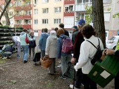 Szeged, tavaszi virágosztás, egynyári, virág, virágosztás, Herke utca, Mihálik Edvin