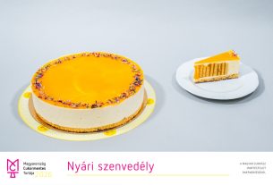 Magyarország Cukormentes Tortája 2026 – szegedi édesség a döntősök között. Fotó: Magyarország Cukormentes Tortája hivatalos FB