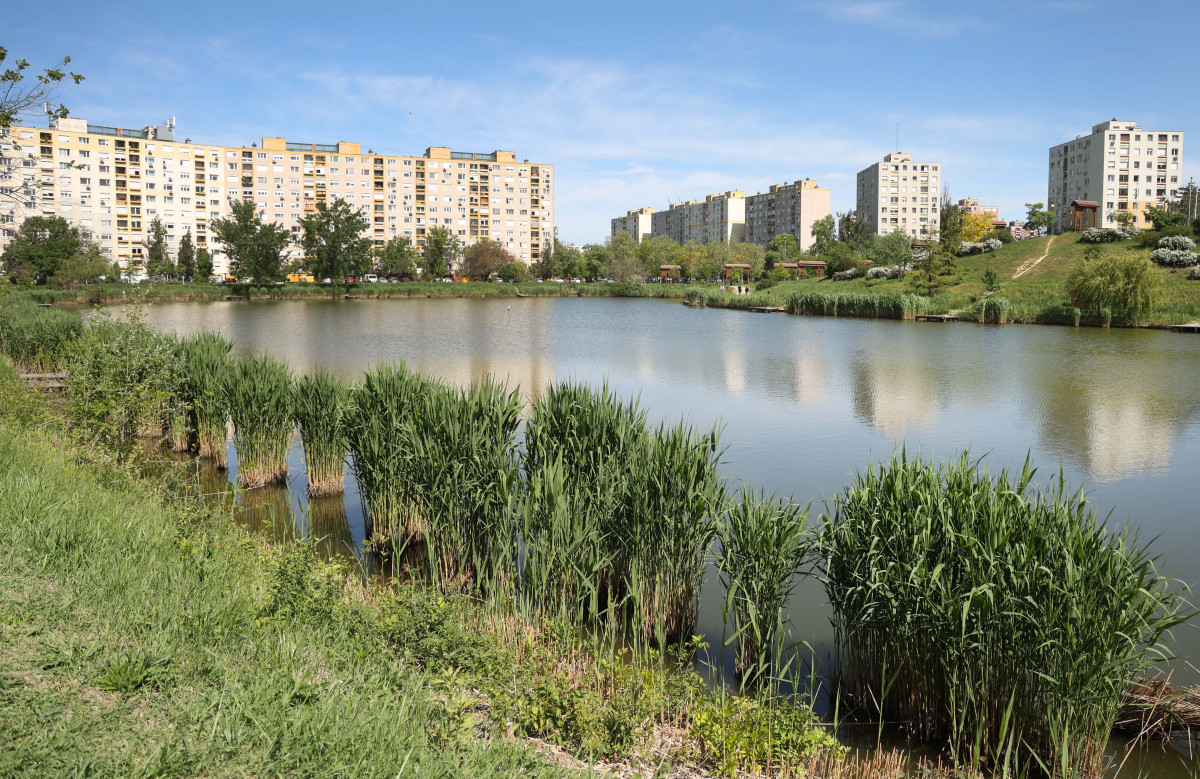 Szeged, tavasz, időjárás, Vér-tó