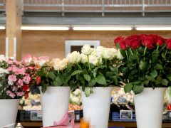 Szeged, virág, virágcsokor, Mars téri piac, piac, ballagás, Anyák napja