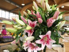 Szeged, virág, virágcsokor, Mars téri piac, piac, ballagás, Anyák napja