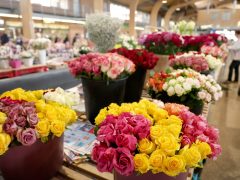 Szeged, virág, virágcsokor, Mars téri piac, piac, ballagás, Anyák napja