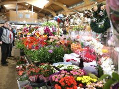 Szeged, virág, virágcsokor, Mars téri piac, piac, ballagás, Anyák napja