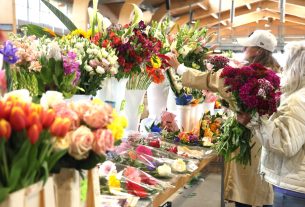 Szeged, virág, virágcsokor, Mars téri piac, piac, ballagás, Anyák napja