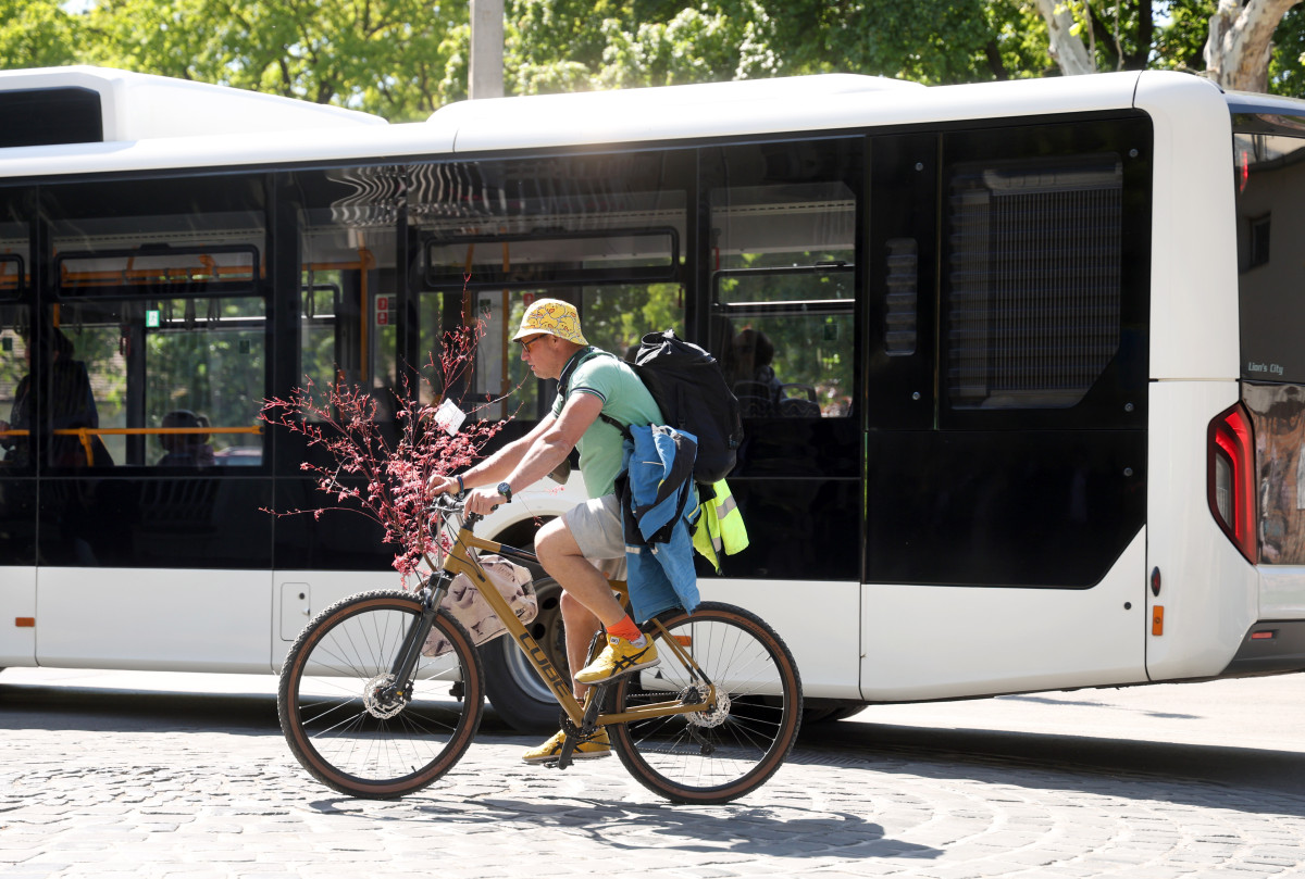 Szeged, kerékpáros, kerékpár, közlekedés, busz