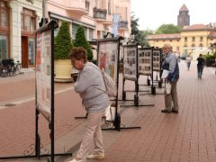 Szeged, Zsigmond Vilmos Nemzetközi Filmfesztivál , Filmfesztivál, sajtótájékoztató, Kárász utca