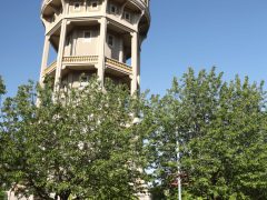 Szeged, önkormányzat, május, tavasz, virágok, egynyári virágok, ültetés, park, Szent István tér